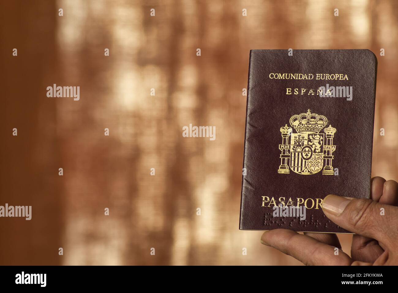 Id Card In Spanish