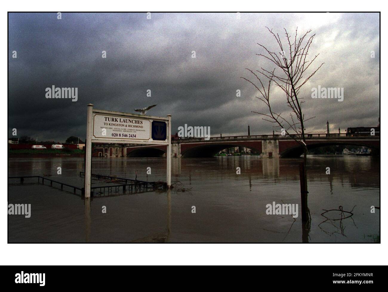 The Thames River flooding under the Hampton Court Bridge Stock Photo