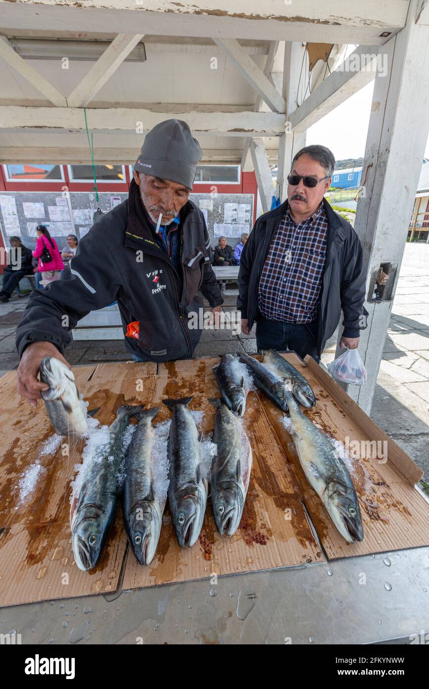 The days fresh catch on display for sale in the Greenlandic village of Qaqortoq, formerly Julianehåb, Greenland. Stock Photo