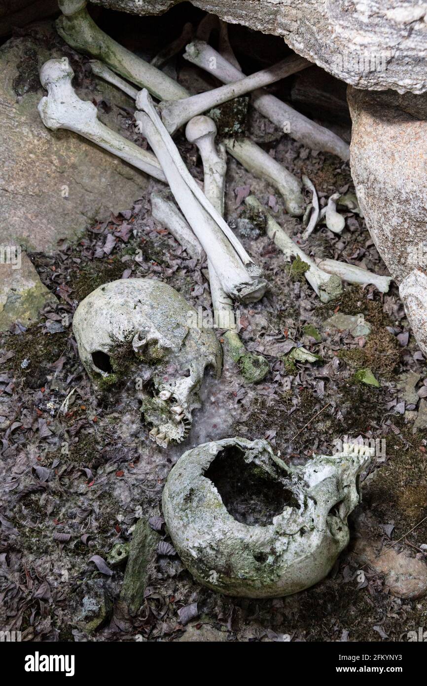Human remains at the Thule archaeological site at Qilakitsoq, Nuussuaq Peninsula, northwestern Greenland. Stock Photo