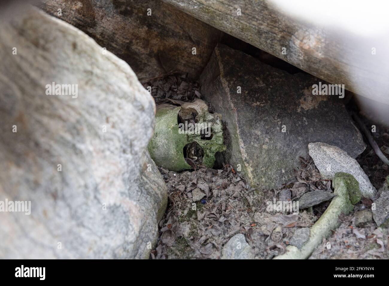 Human remains hires stock photography and images Alamy