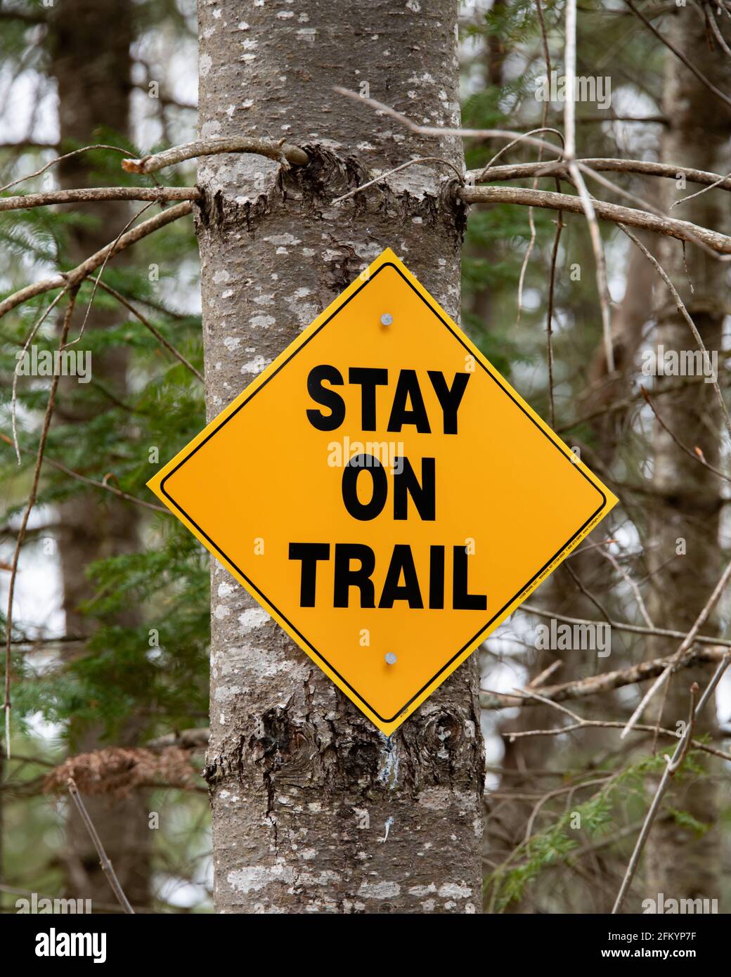 A bright yellow sign on an Adirondack hiking and snowmobile trail advising people to stay on the trail to avoid trespassing on private property. Stock Photo