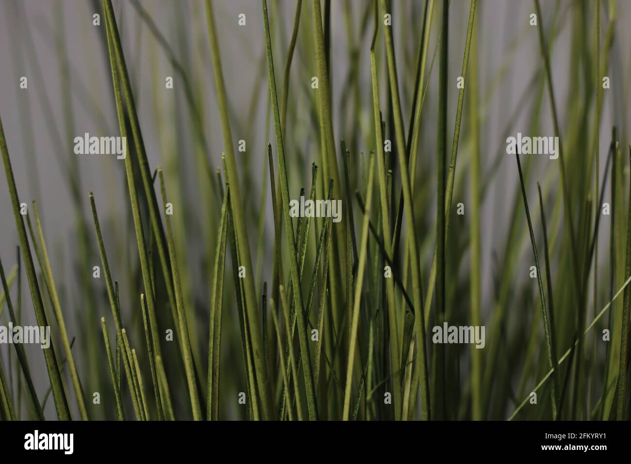 Macro Artificial Green Grass Blades Stock Photo