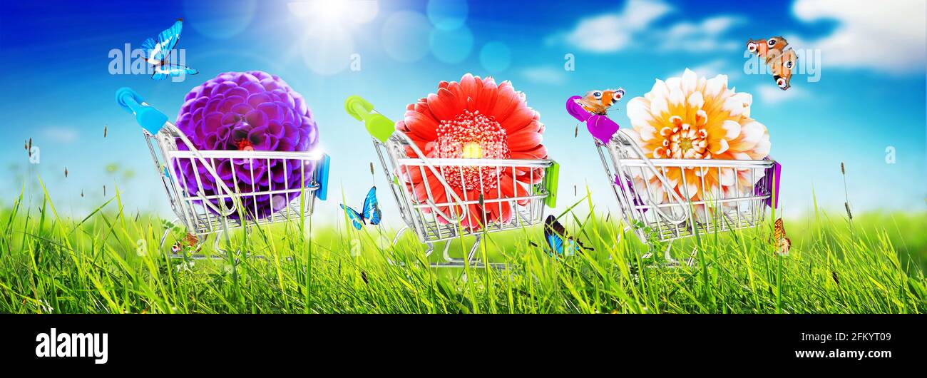 Concept For Flower Delivery, Valentines Day, Mothers Day Or International Womens Day Image446584720