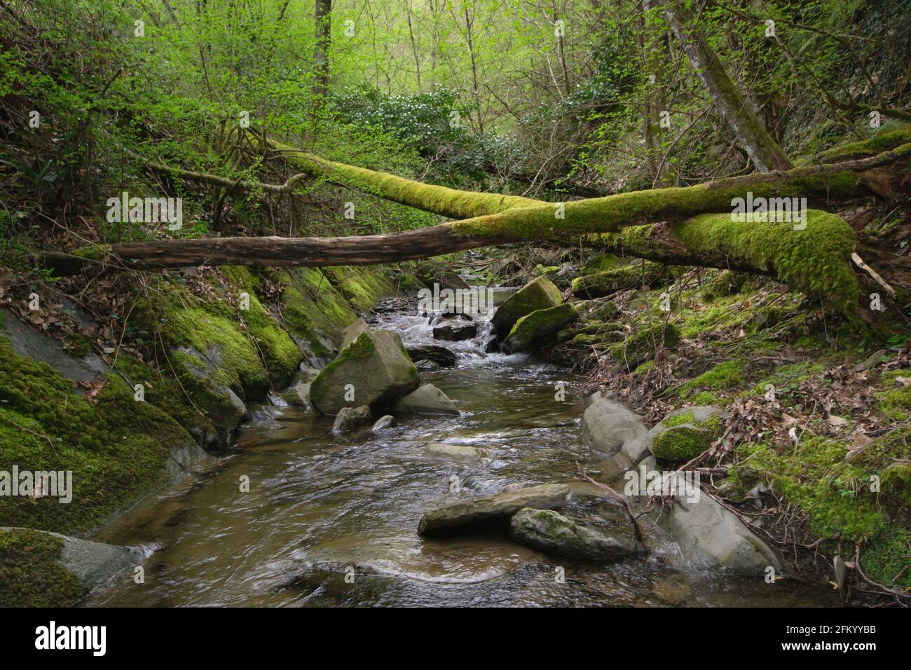 Wallpaper flowing water hi-res stock photography and images - Alamy