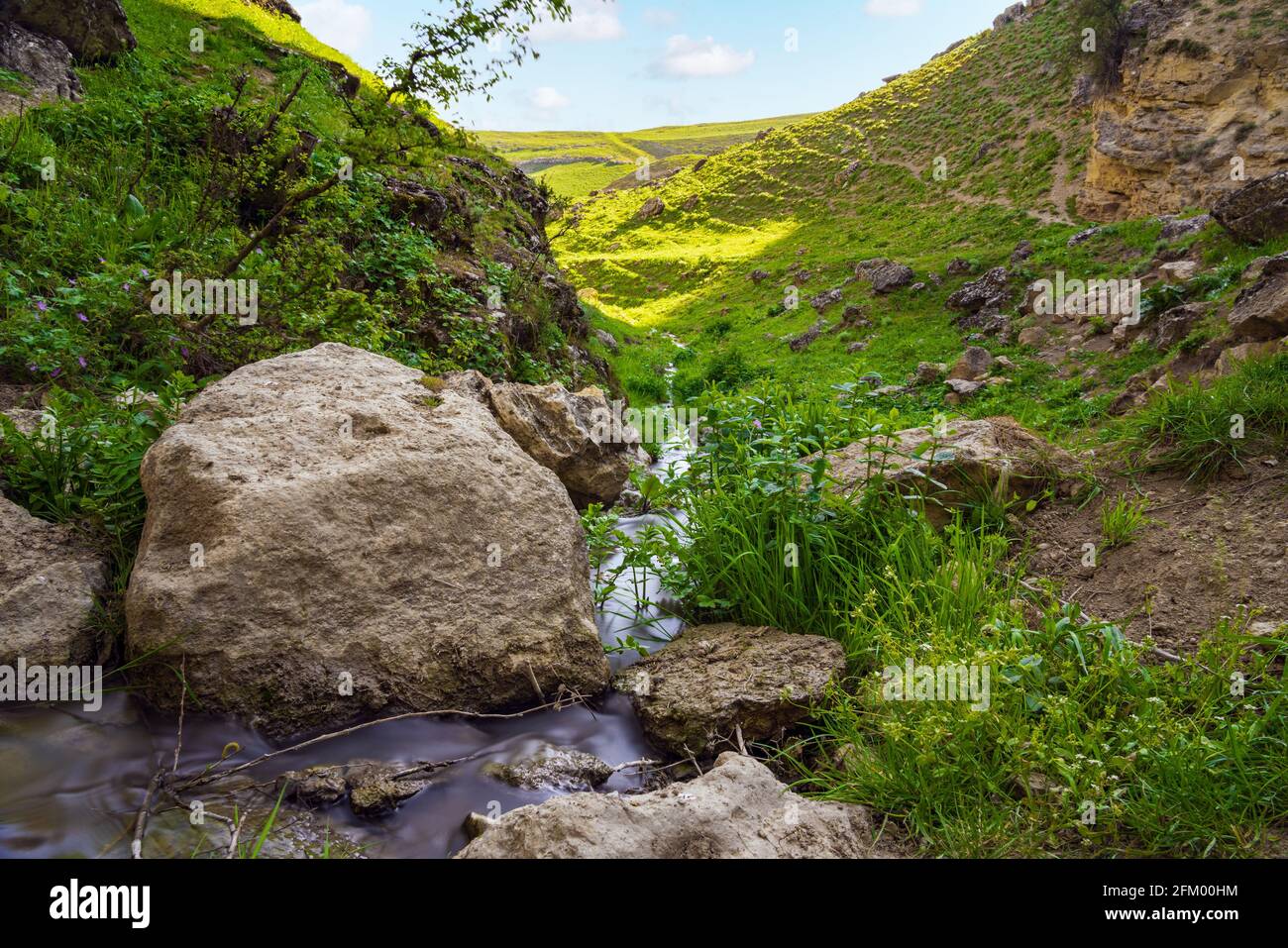Rocky stream in a green forest hi-res stock photography and images - Alamy