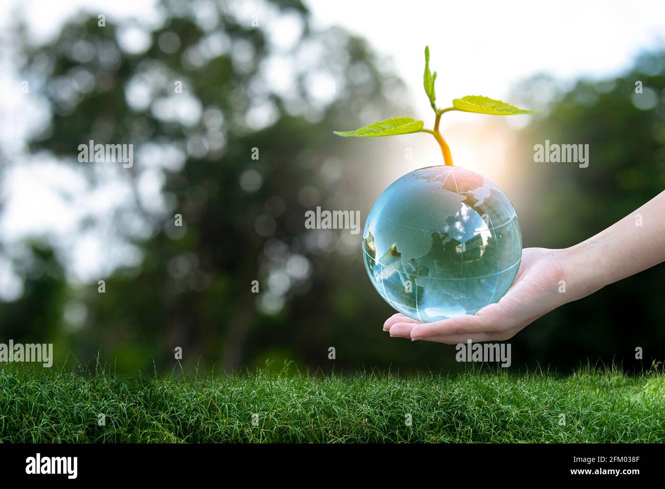 3D illustration Renewable energy concept Earth Day or environmental ...