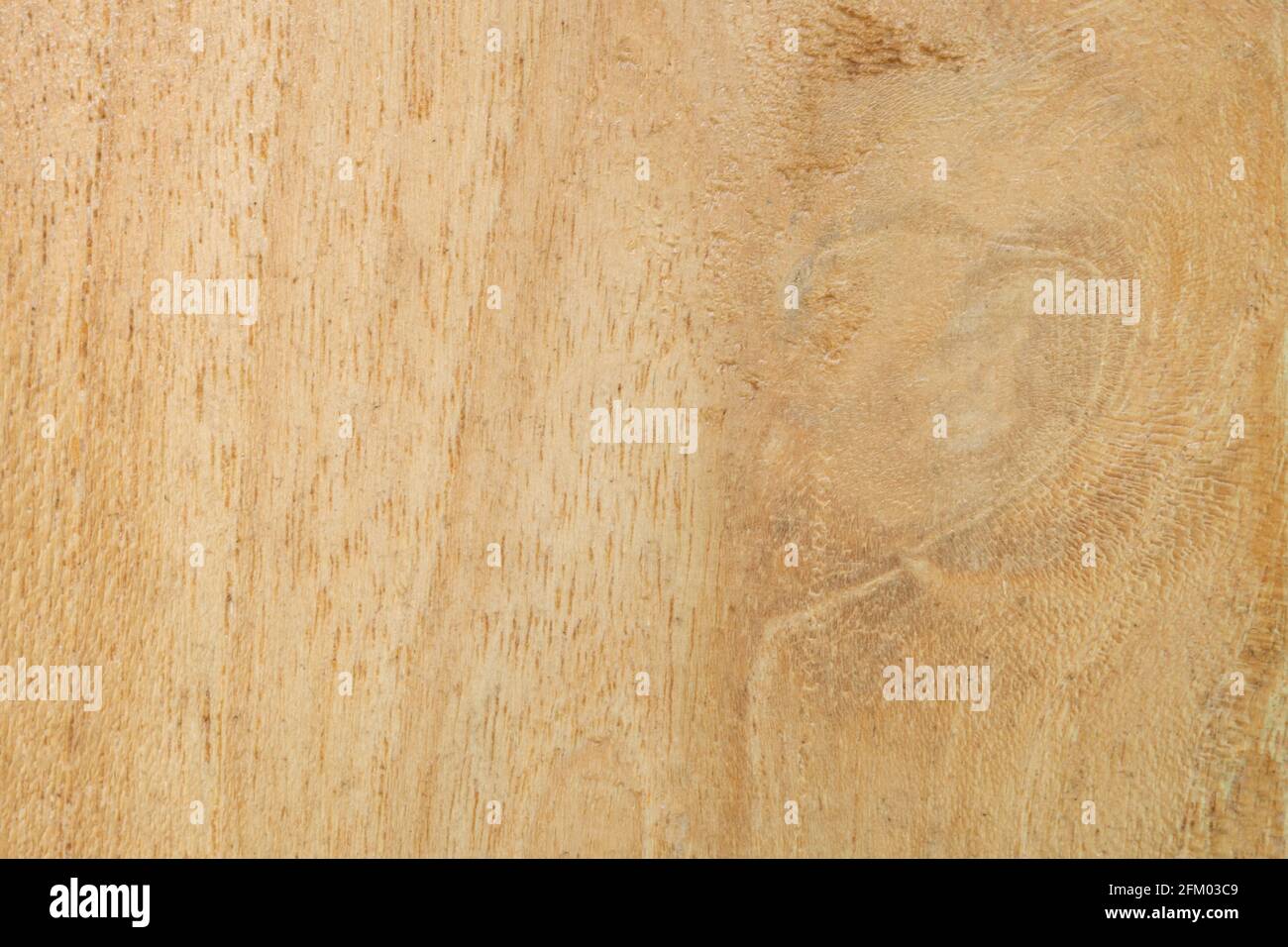 Close up wood texture hi-res stock photography and images - Alamy