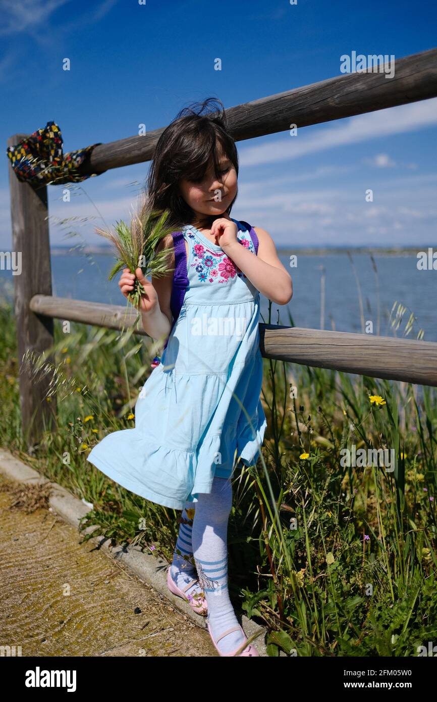 Asian filipino filipina little girl in light blue dress and purple backpack, standing in front of a wooden fence, smiling, holding a bouquet of wheat. Stock Photo