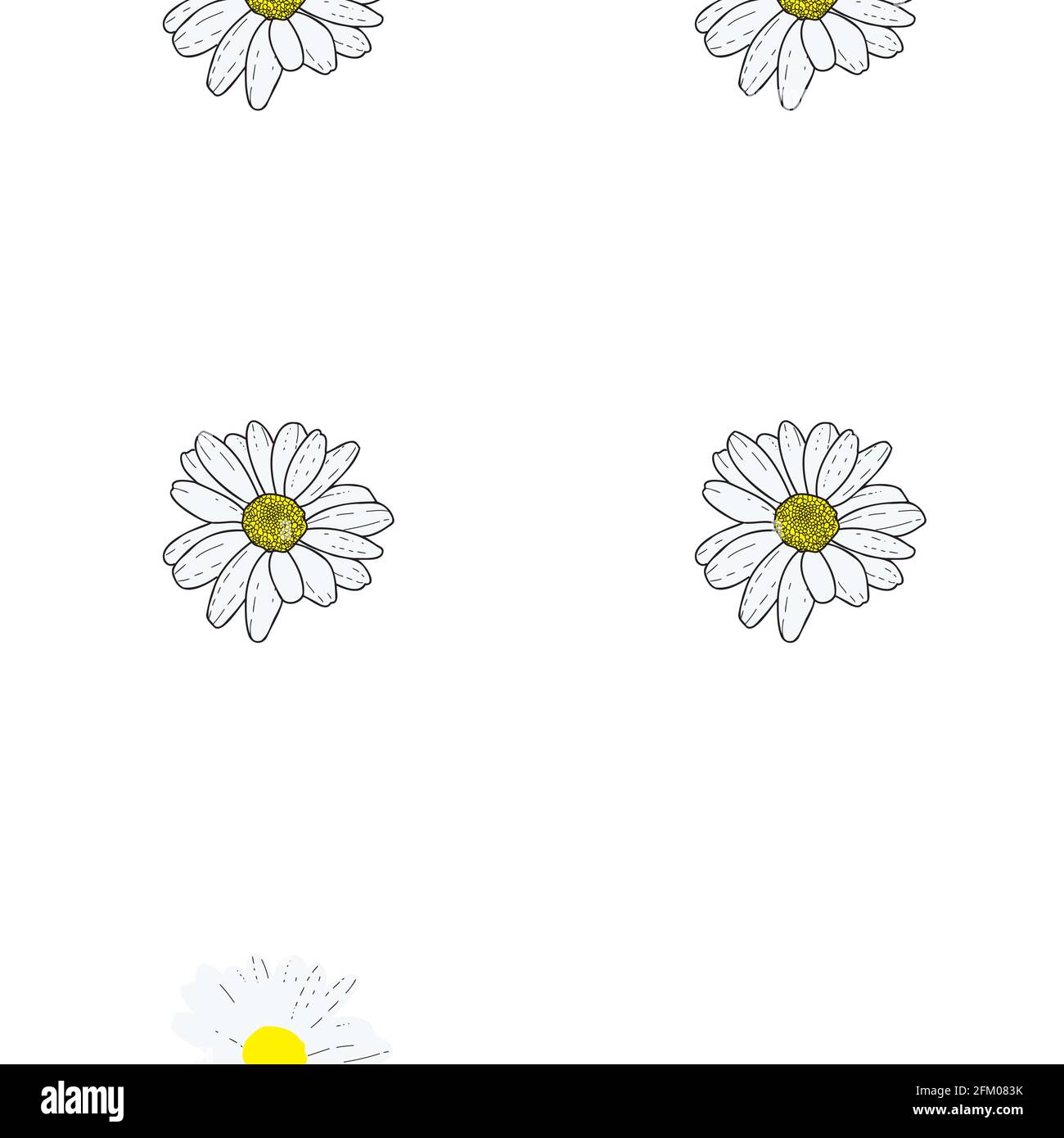 Vector white background pink daisy flowers and wild flowers. Seamless ...
