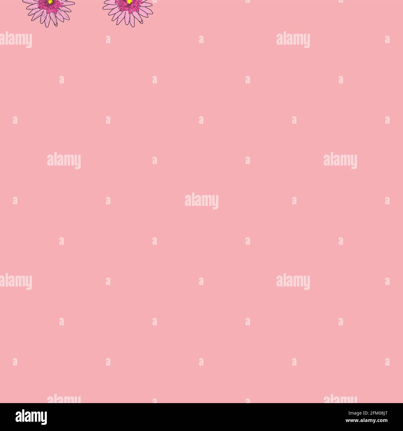 Vector peach pink background pink daisy flowers and wild flowers ...