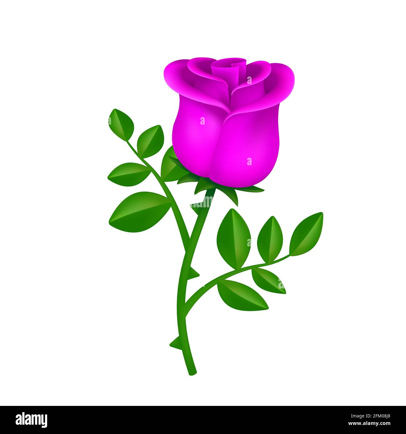 Beautiful blossom pink rose with green leaves isolated on white ...