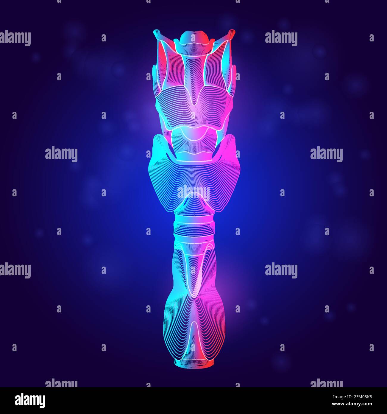 Human trachea medical structure. Outline vector illustration of the hyoid bone and thyroid cartilage organ anatomy in 3d line art style on neon abstra Stock Vector