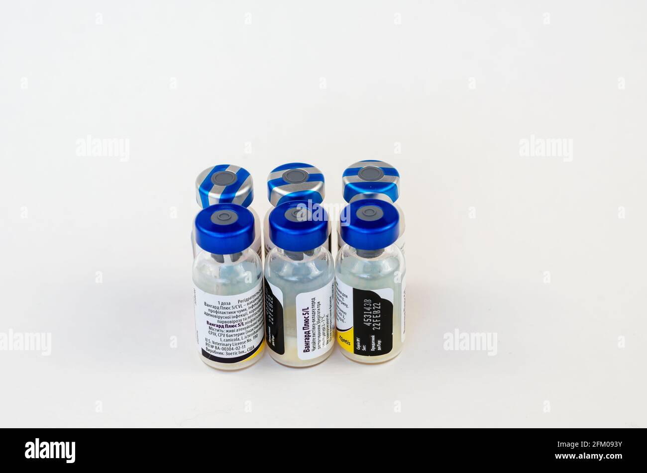 icterohaemorrhagia-hi-res-stock-photography-and-images-alamy
