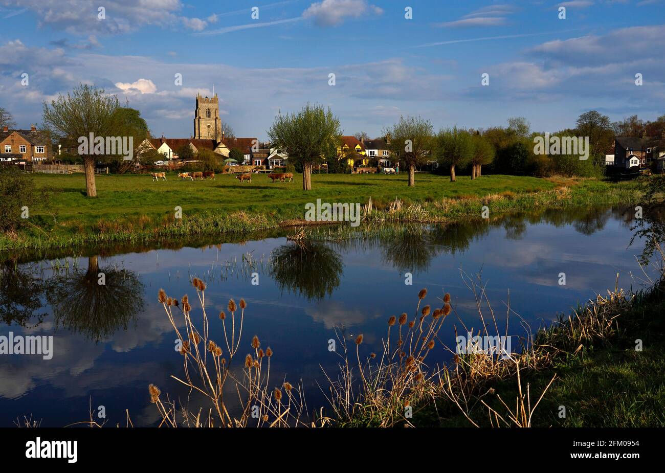 Views across river Stour on water meadows to all saints church and market town of Sudbury,Suffolk,England,Birth place of Thomas Gainsborough Stock Photo