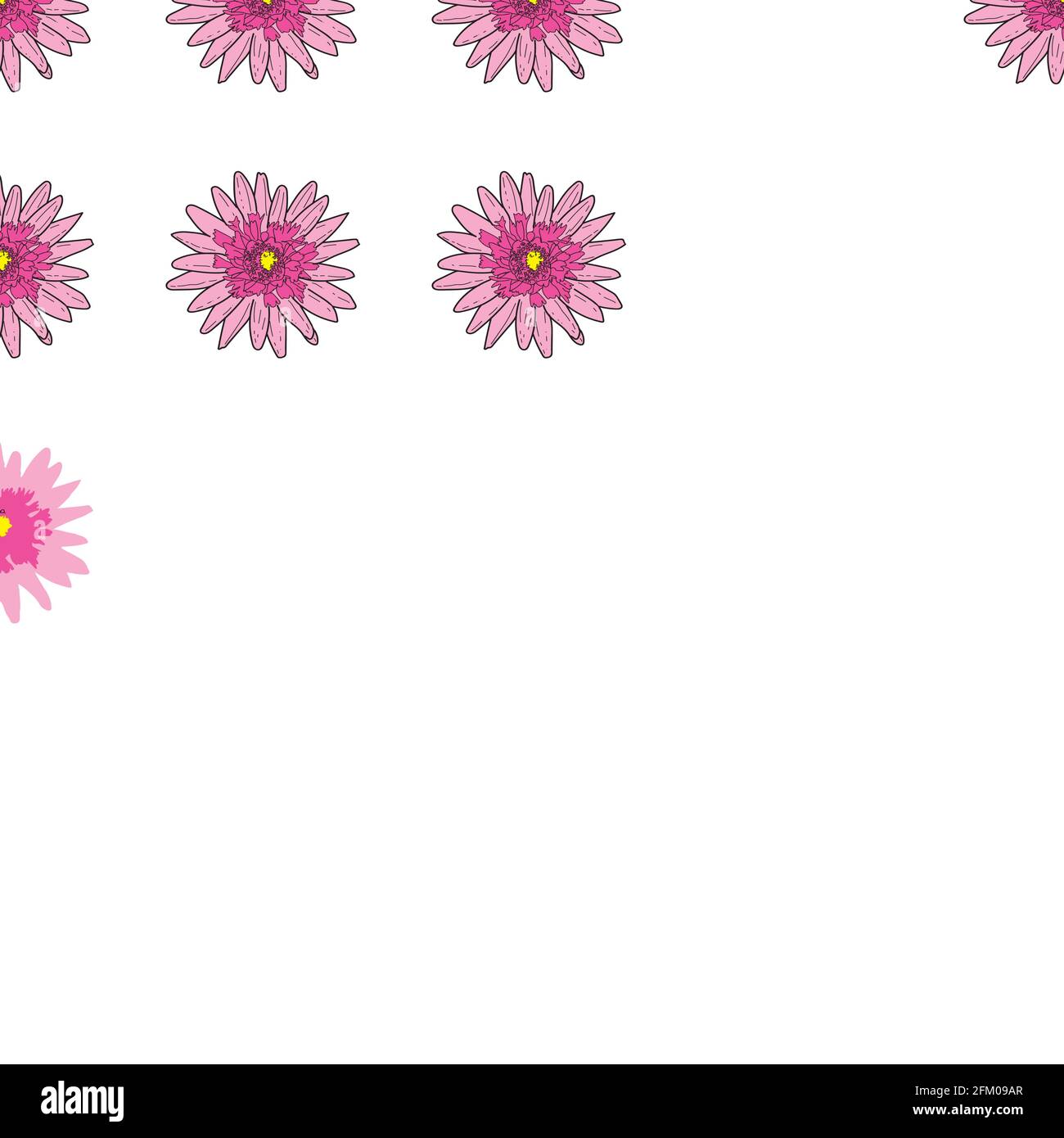 Vector white background pink daisy flowers and wild flowers. Seamless ...