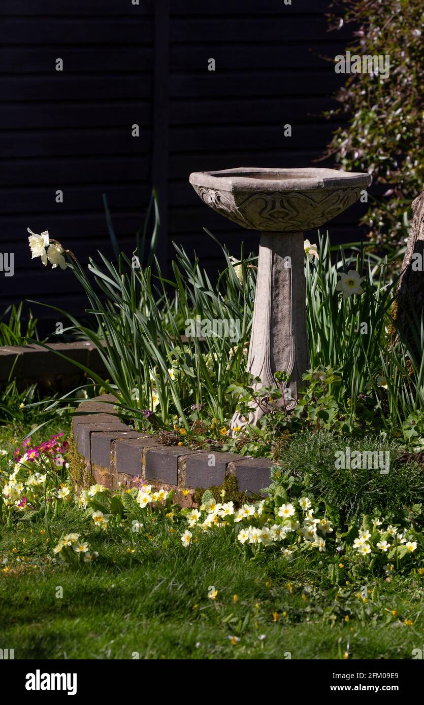 Stone Bird Bath in spring English garden, England Stock Photo