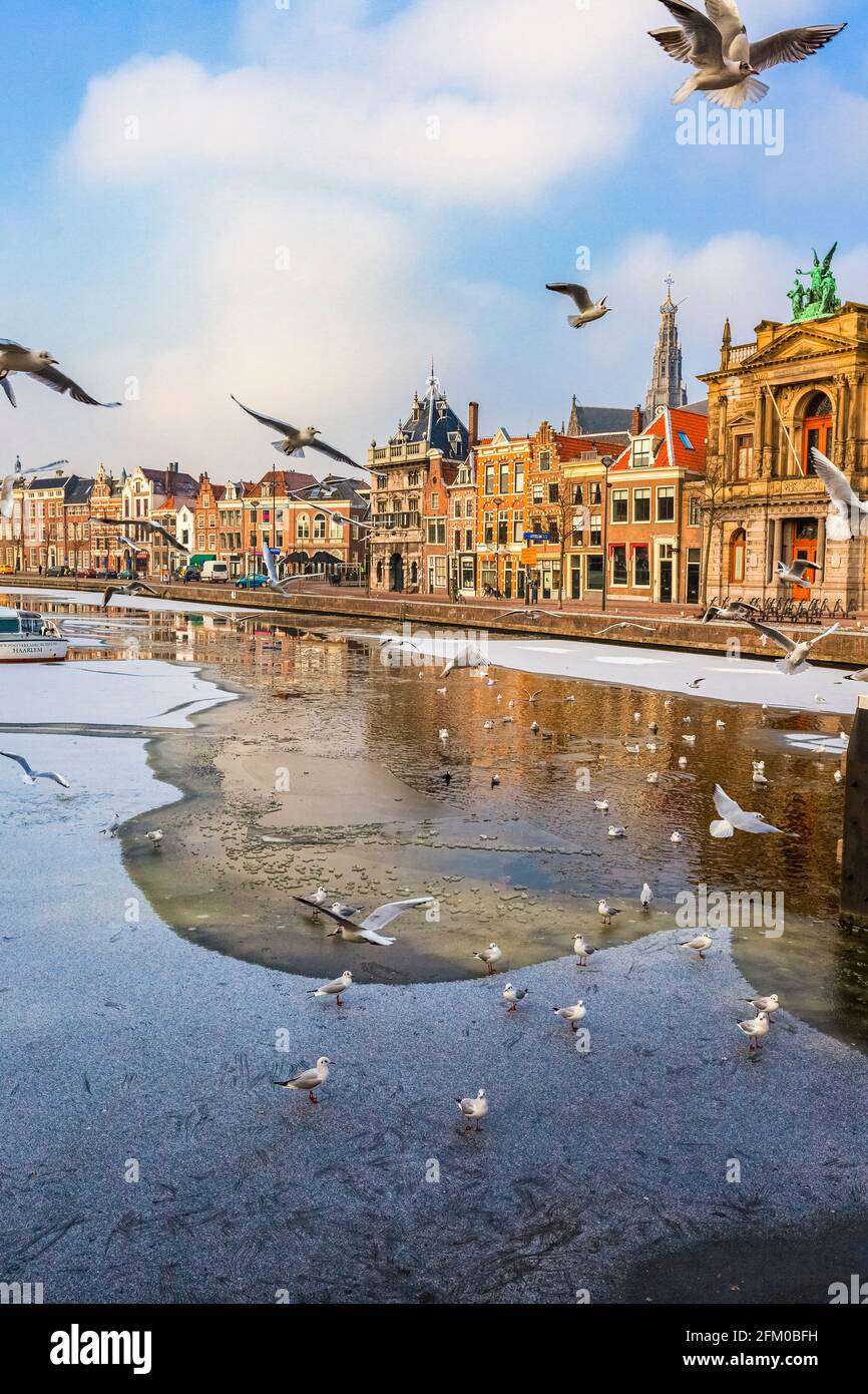 Teylers Museum old building along the frozen canal of Spaarne river, Haarlem, Amsterdam, North Holland, The Netherlands Stock Photo
