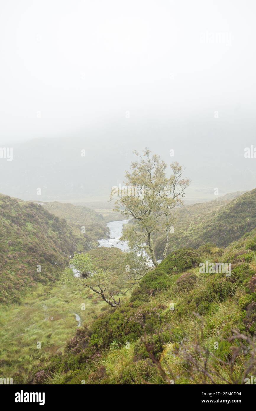 Assynt's cnoc-and-loch landscape at rainy autumnal day in the North West Highlands of Scotland Stock Photo