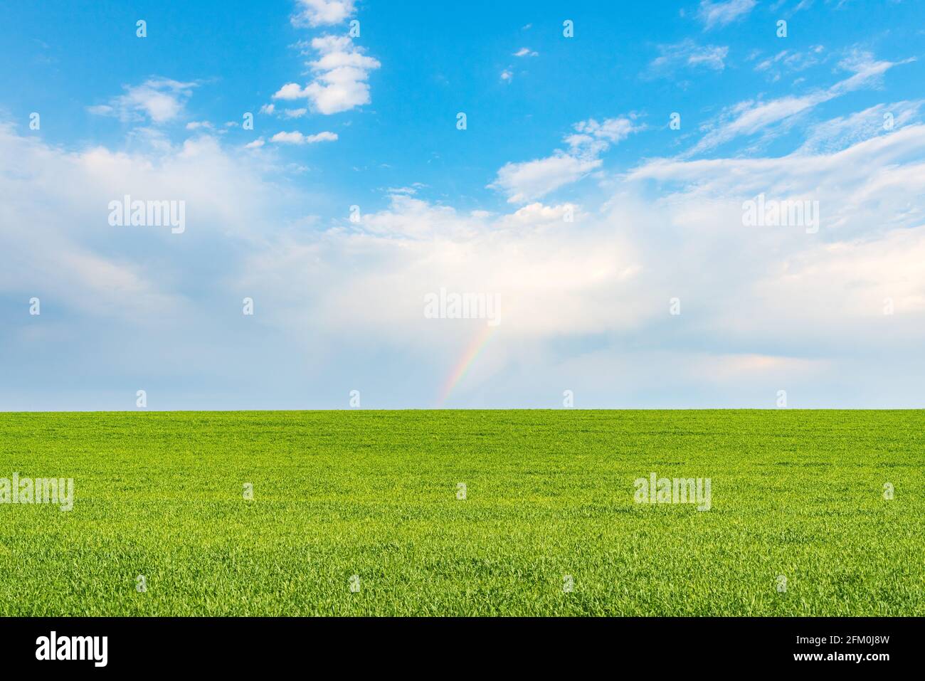 Landscape view of green grass on field with blue sky and clouds ...
