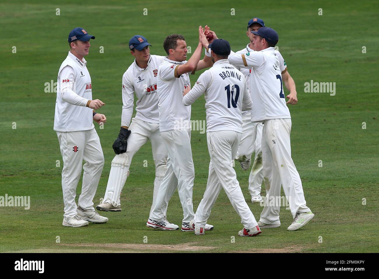 Peter Siddle of Essex celebrates with his team mates after taking the wicket of Will Jacks during Essex CCC vs Surrey CCC, Specsavers County Champions Stock Photo