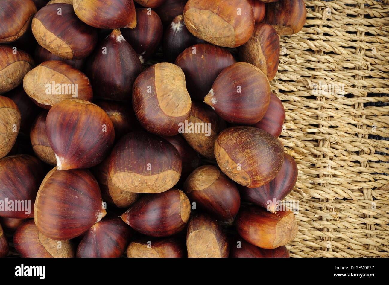Fresh ripe uncooked Spanish chestnuts in shells background Stock Photo