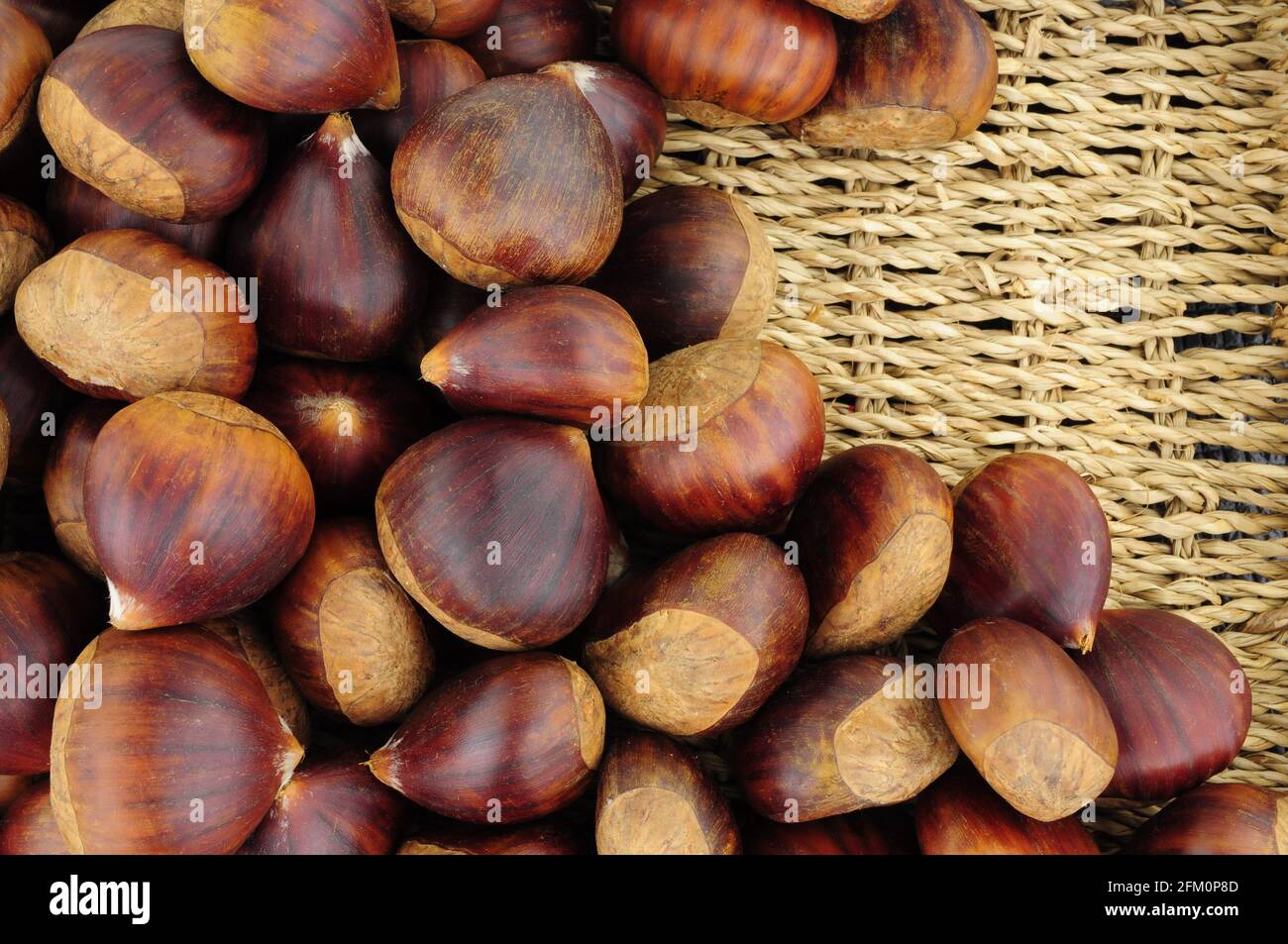Fresh ripe uncooked Spanish chestnuts in shells background Stock Photo