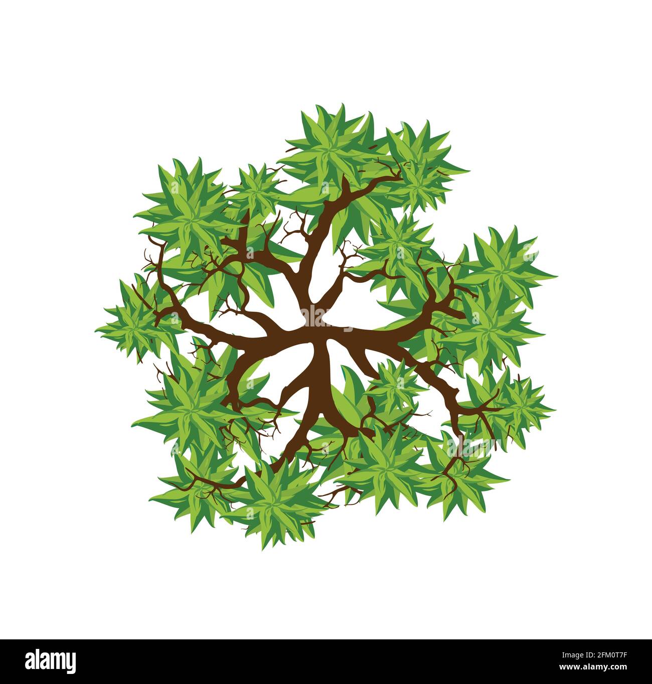 Tree top view. Easy to use in your landscape design projects Stock