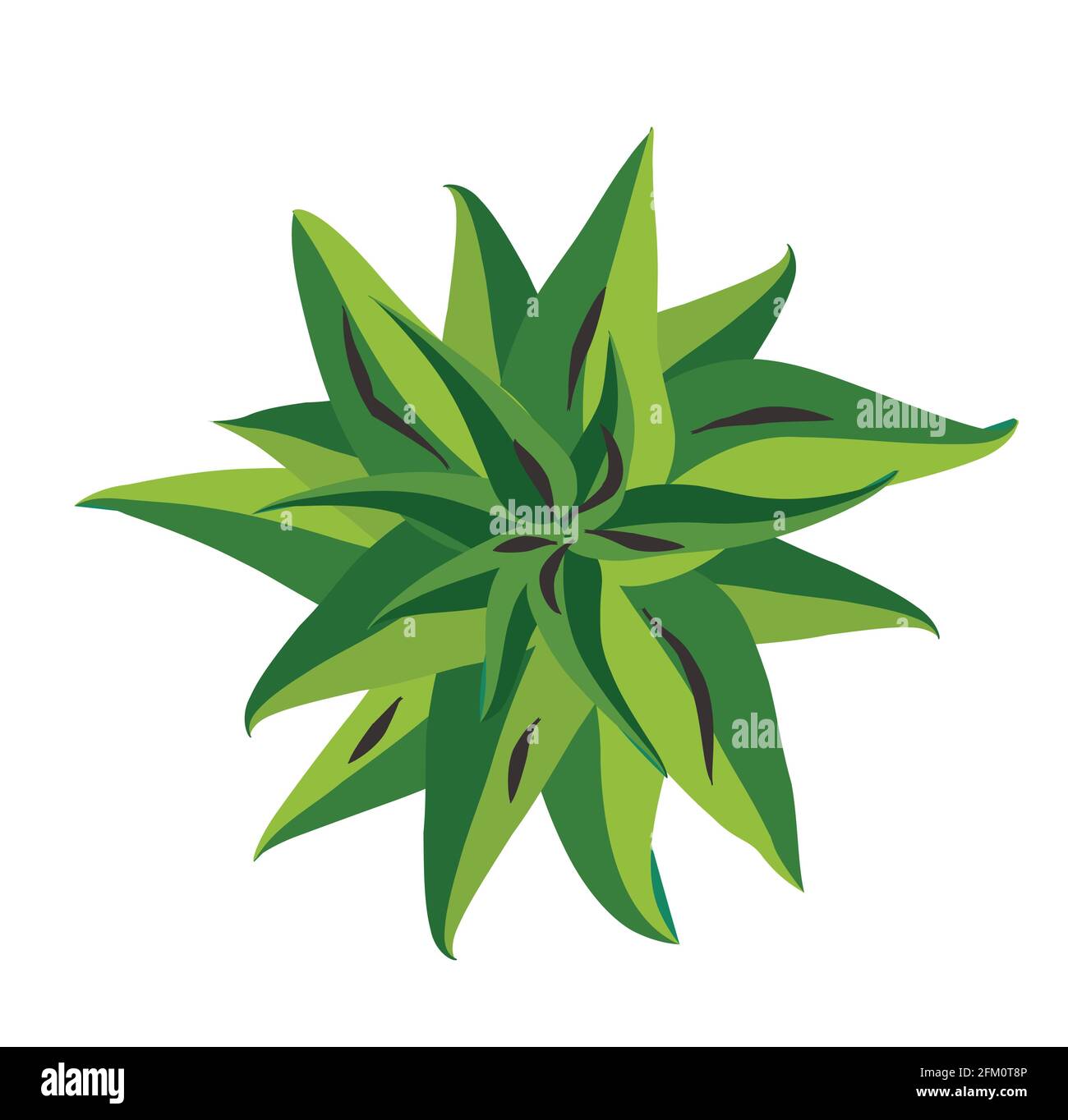 Tree top view. Easy to use in your landscape design projects Stock