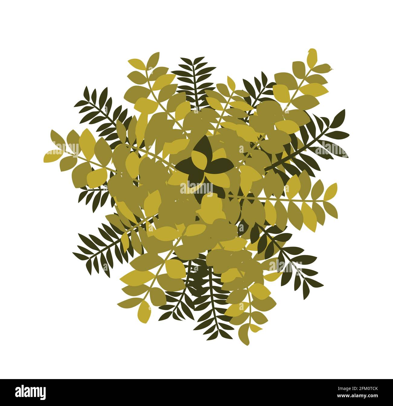 Tree top view. Easy to use in your landscape design projects Stock