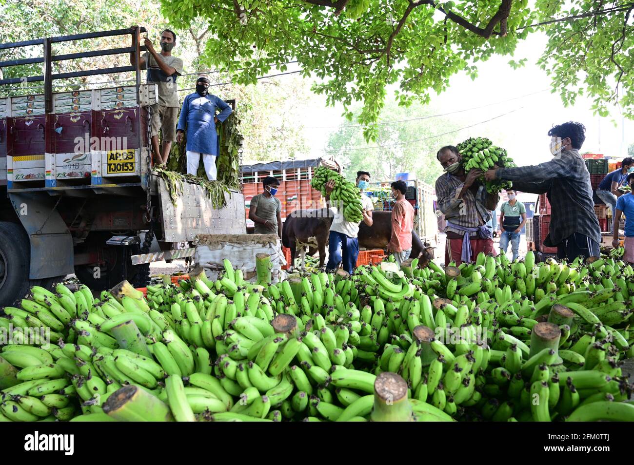 Unload banana hi-res stock photography and images - Alamy
