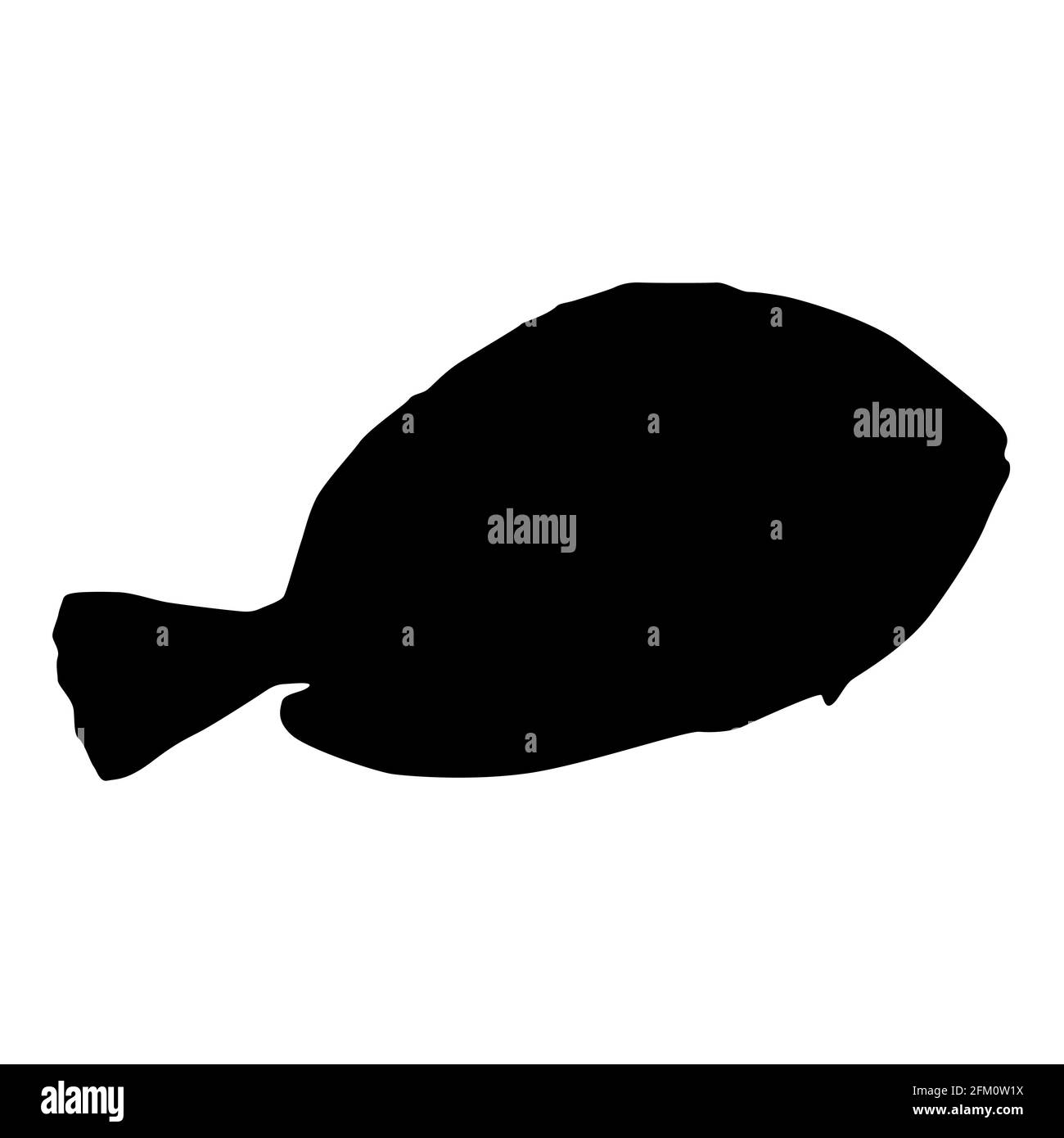 Surgeon fish black silhouette. Isolated object. Marine animal. White background. Vector illustration clipart. Side view. Stock Vector