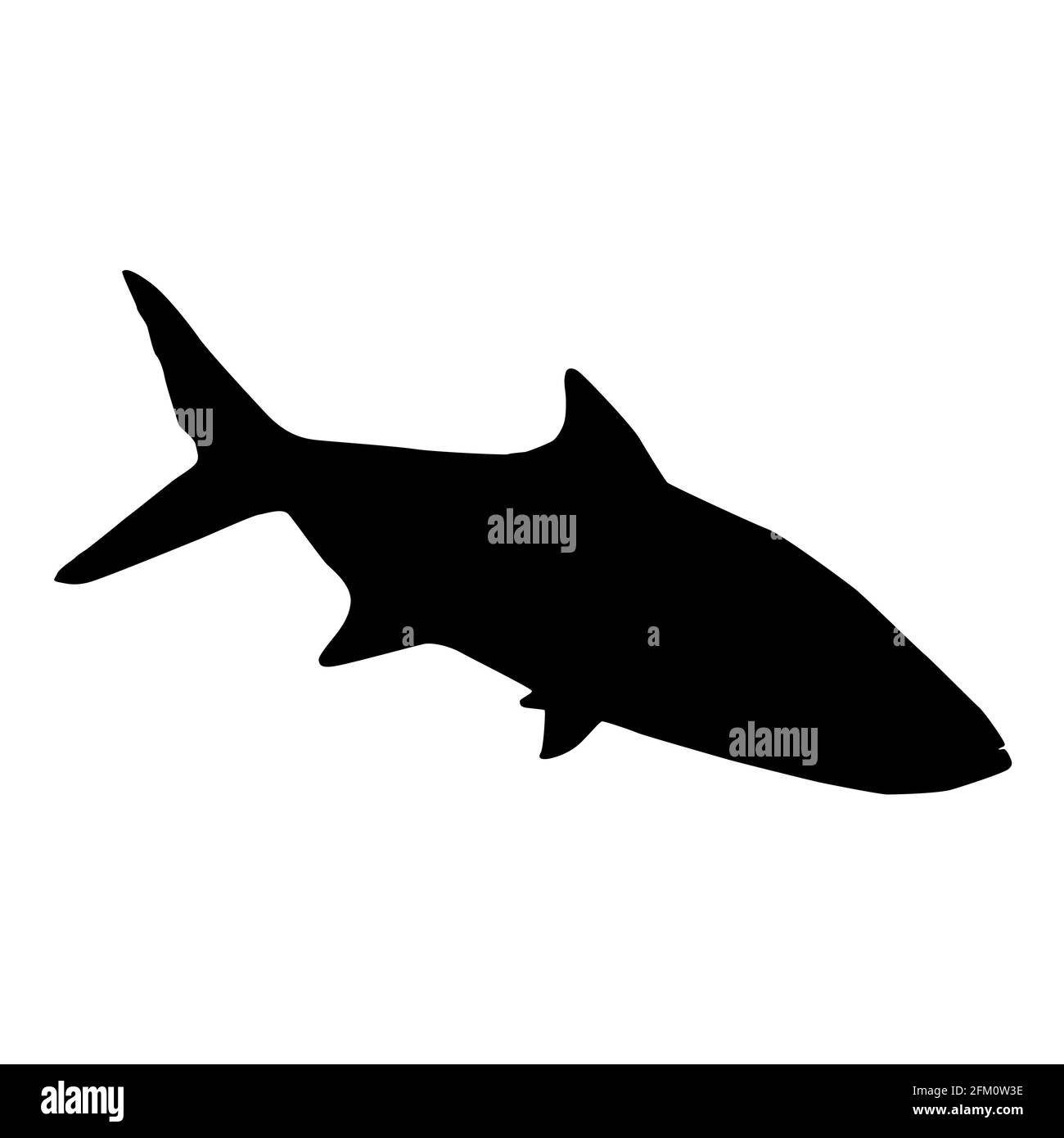Saltwater fish sardine isolated black silhouette. Marine animal. White background. Vector illustration clipart. Stock Vector
