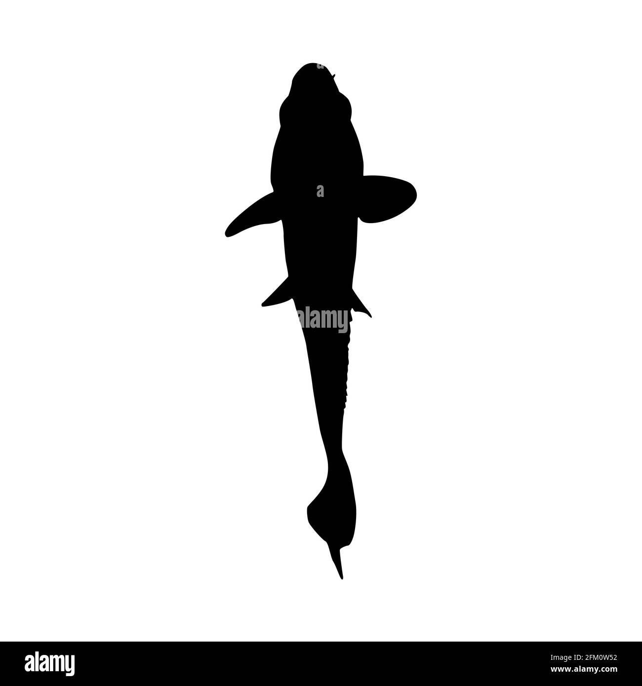 Goldfish black silhouette. Isolated object. Marine animal. White background. Vector illustration clipart. View from above. Stock Vector