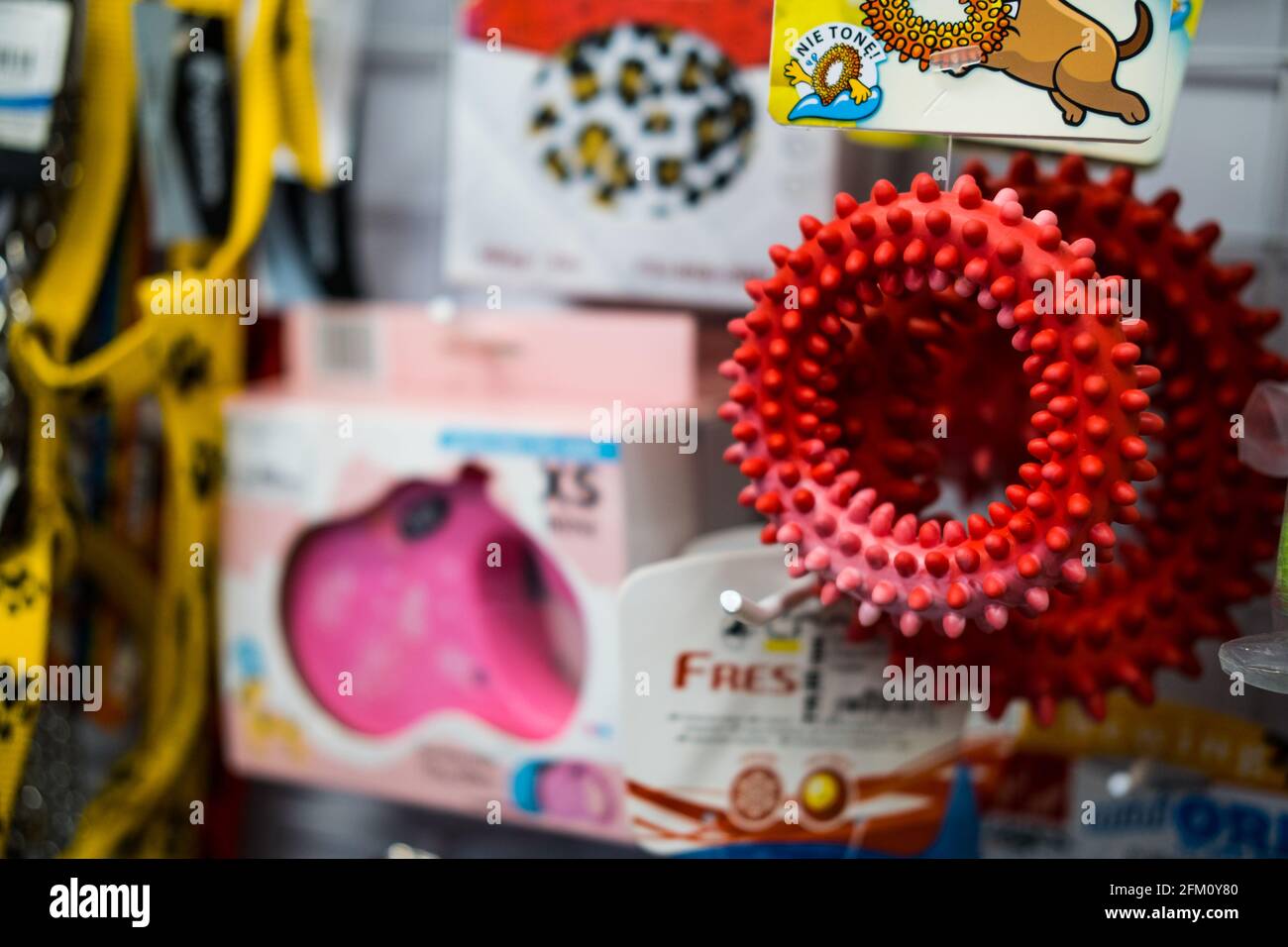 Pet shop. Dog and cat accessories and supplies On Animals Supermarket