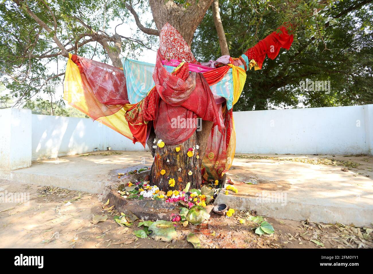 Traditional village Goddess of Peddadimili Village known as Ujjidamma Goddess in Srikakulam District, Andhra Pradesh, India Stock Photo