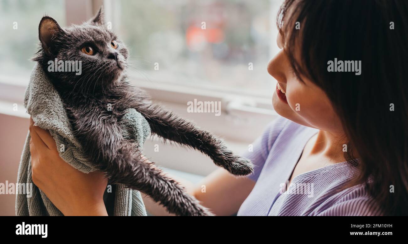 The beautiful girl was drying her cat's fur Stock Photo Alamy