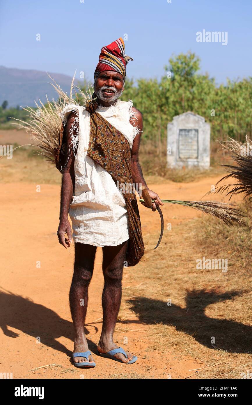 Tribal old man from Kotpadu village, Odisha who collects broom grass, posing for camera Bondaguda village, Araku, Andhra Pradesh, India BATRA TRIBE Stock Photo