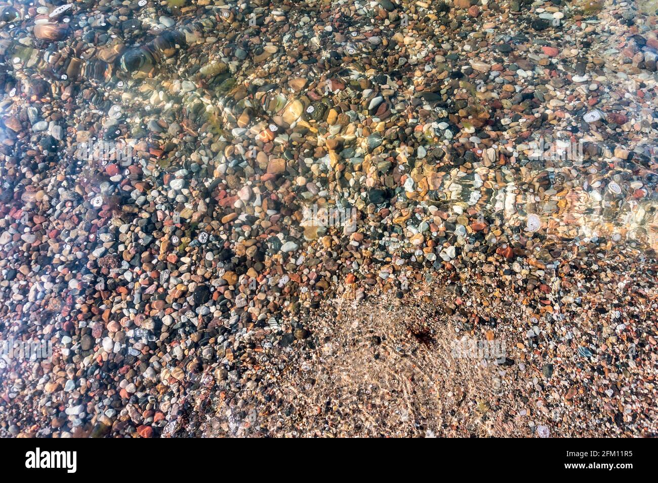 Translucent Water With Rocks Shallow water over gravel hi-res stock photography and images - Alamy