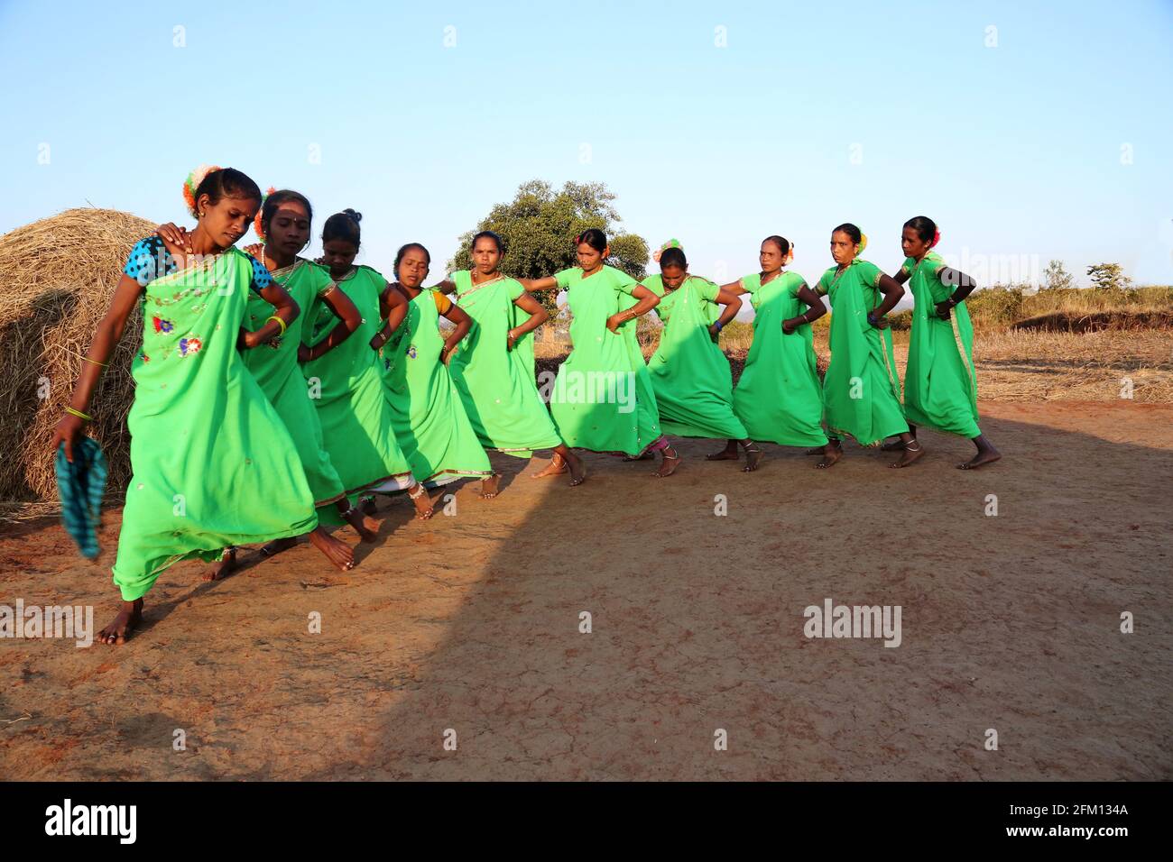 Tribal women from Kollaputtu Village in traditional outfits performing Dhimasa dance at Chompi village, Araku, Andhra Pradesh, India Stock Photo