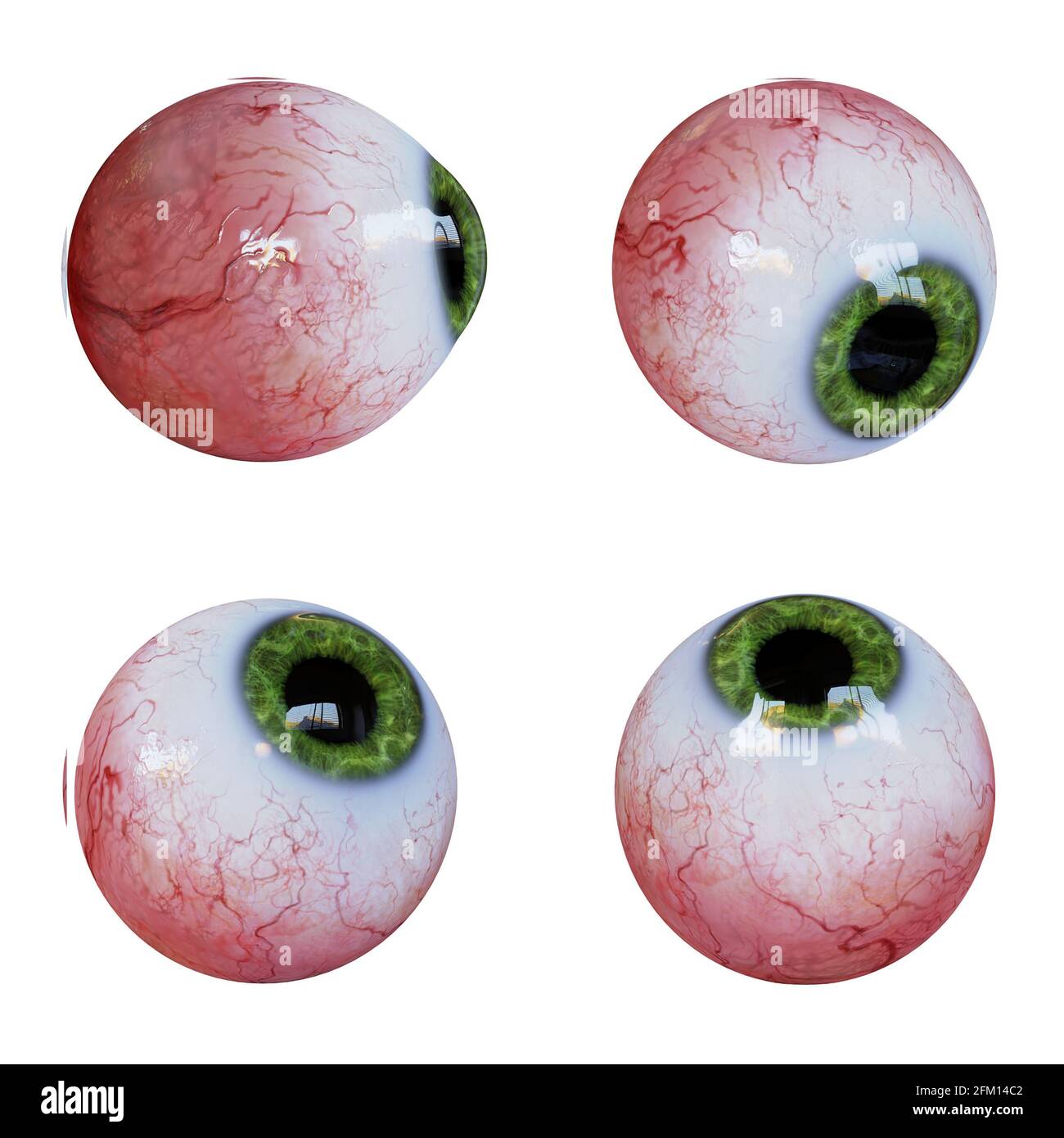collection of human eyeballs with green iris isolated on white background Stock Photo