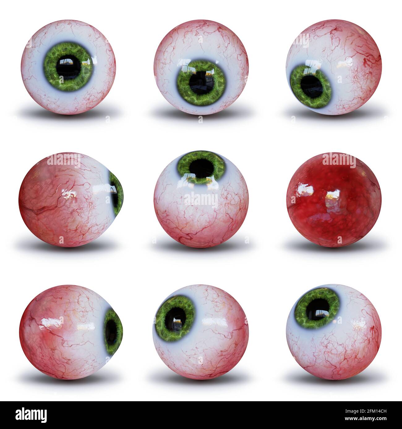 set of human eyeballs with green iris isolated with shadow on white background Stock Photo