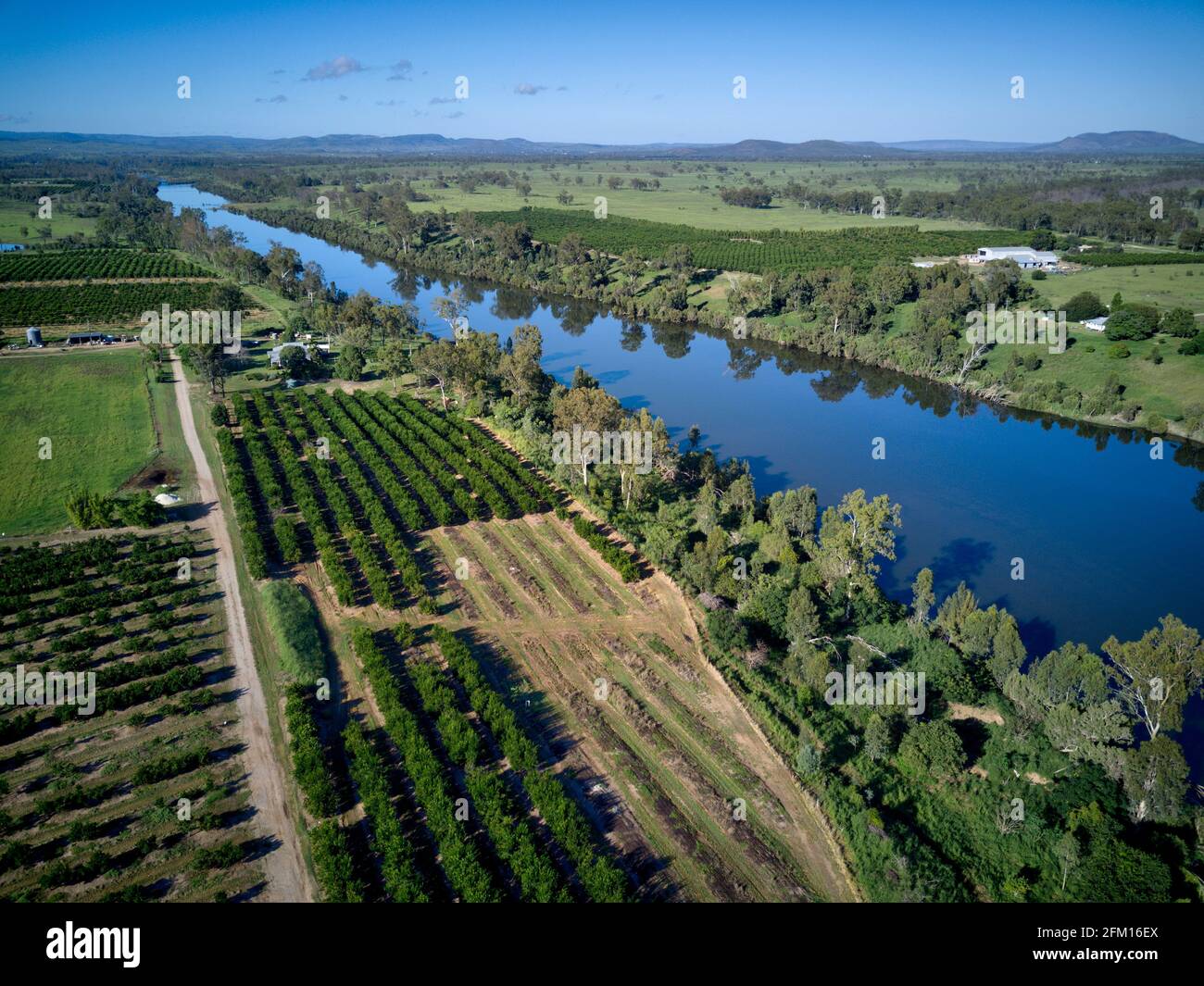 Aerial of citrus orchard growing on the banks of the Burnett River Mt Lawless Queensland Australia Stock Photo