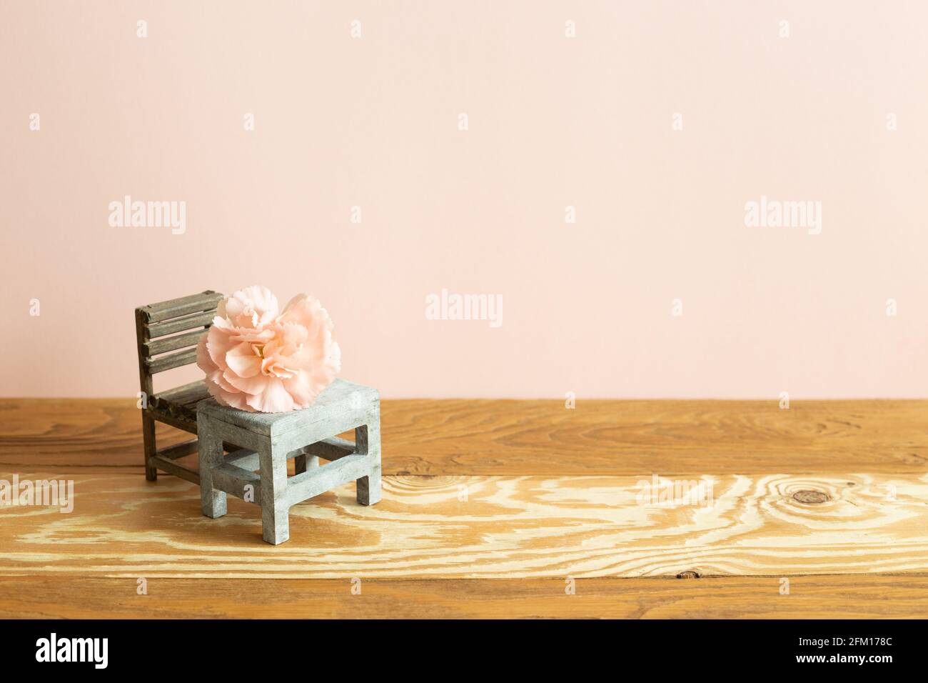Pink carnation flower on school desk with empty chair Stock Photo