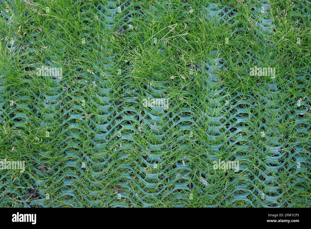 Grass reinforcement mesh installation on high traffic areas and edges