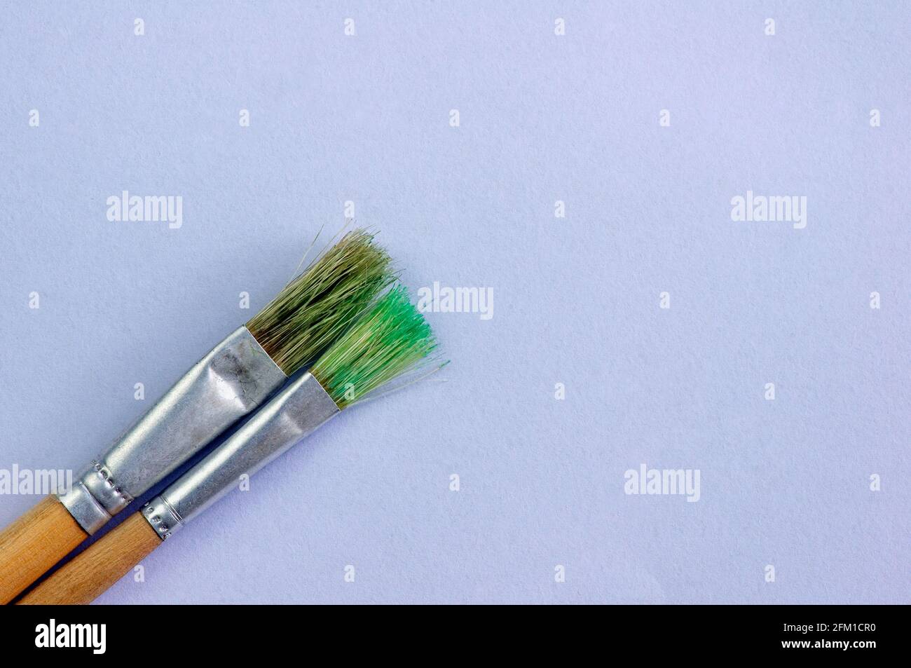 Two watercolor brushes on white paper background Stock Photo