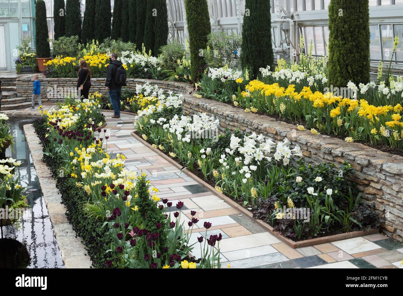 The spring flower show at the sunken garden at Como Conservatory in St. Paul, Minnesota. Stock Photo