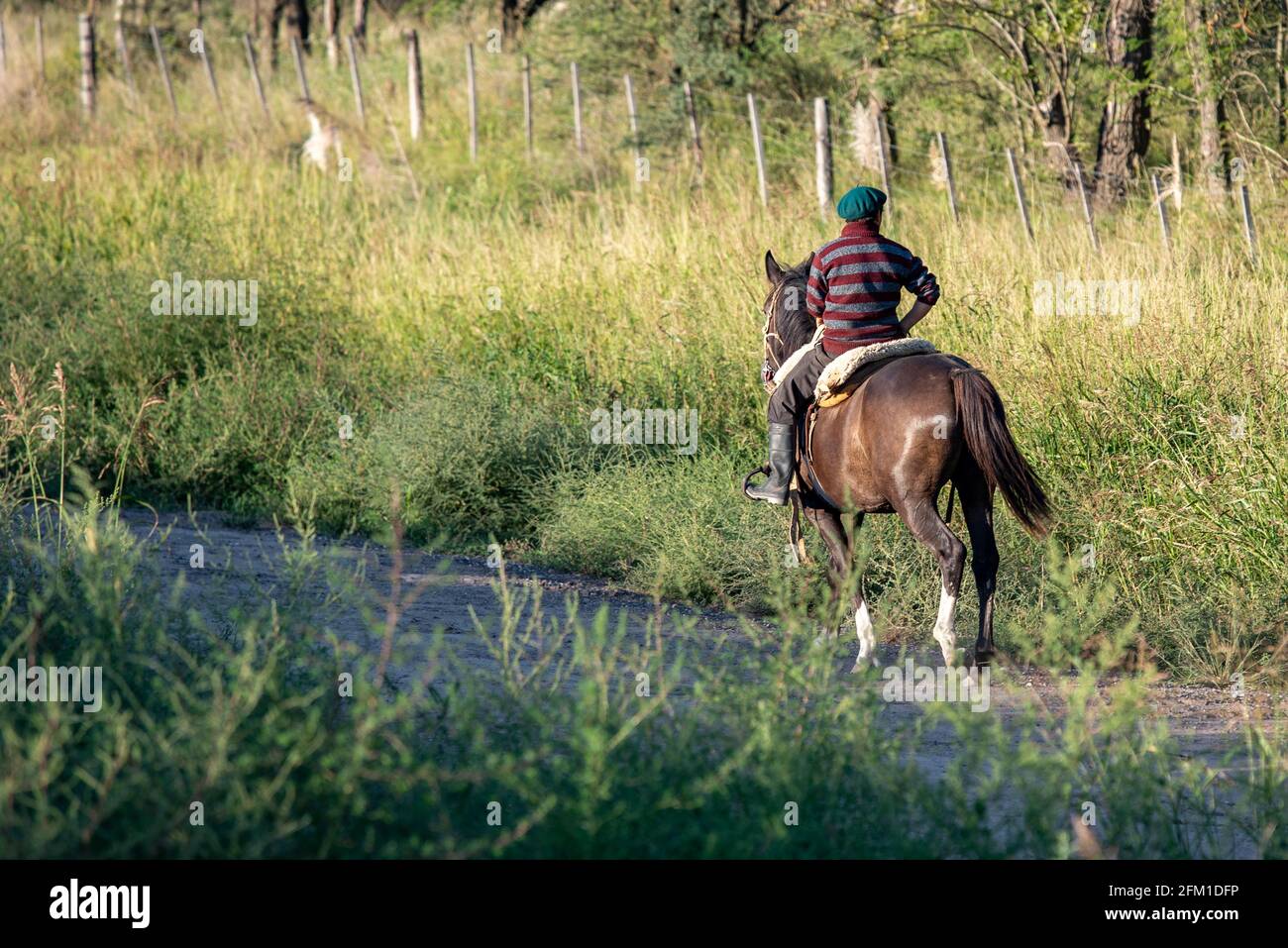 Street photography, with the sunset, trees, river, lots of green, and man on horseback. Stock Photo