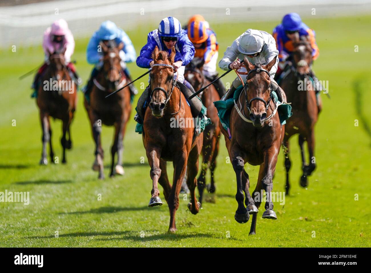 Dubai fountain horse hires stock photography and images Alamy