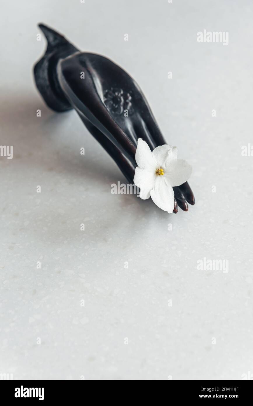 Buddha hand and white flower on white marble background Stock Photo